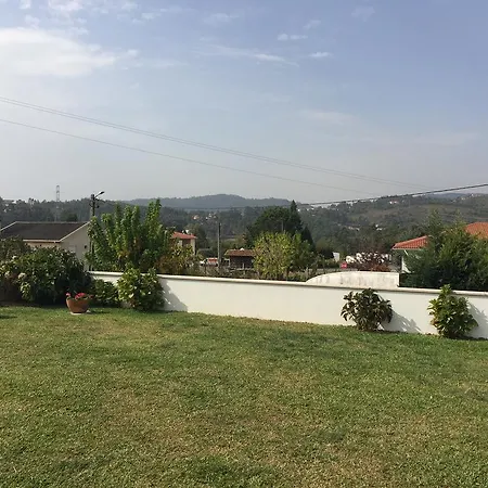 Manuel Tiago Pereira-2